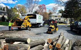 Best Tree Health Inspection  in Coyne Center, IL